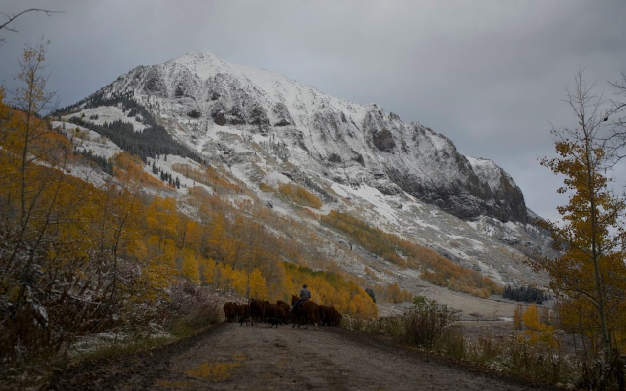 Hunt Crested Butte