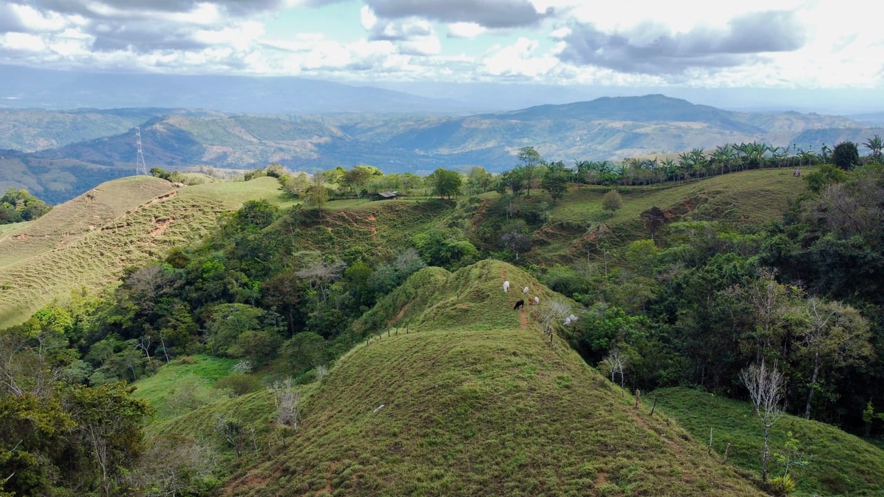 OVER 14 ACRES FARM IN ALTO DE GUADALUPE