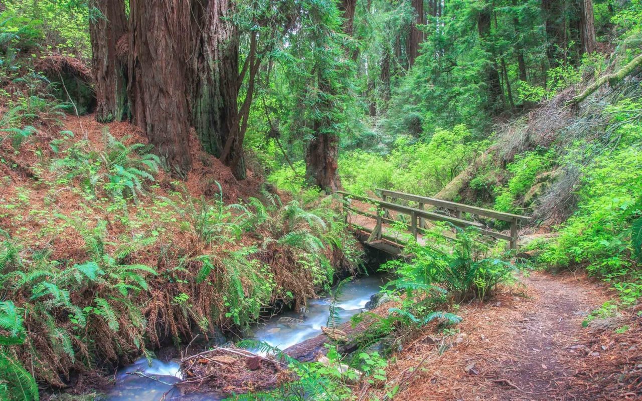 San Geronimo Valley