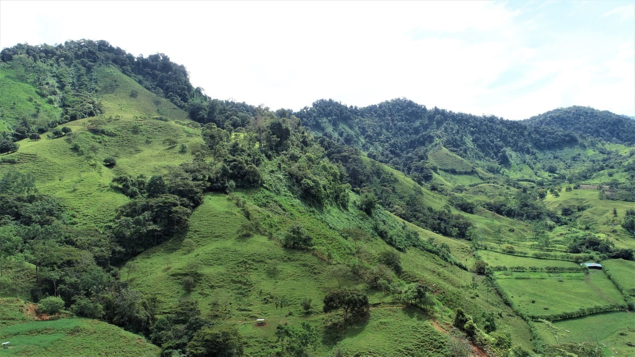 Riverfront Forest Farm, Perez Zeledon, San Jose