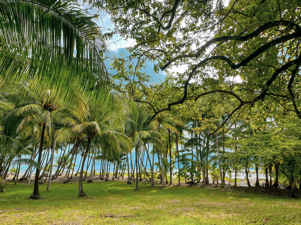 Prime Beachfront Development Land, Santa Teresa, Puntarenas