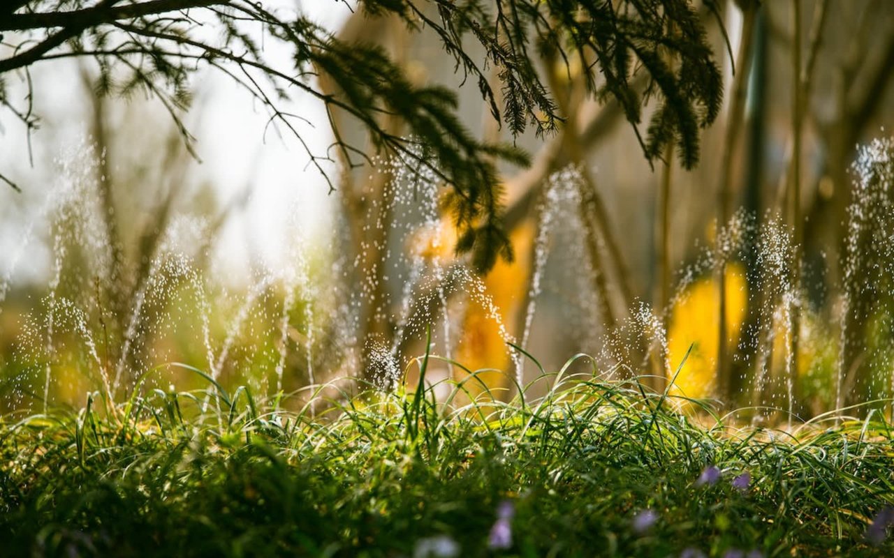 Water-wise Landscaping Trends in Malibu Road