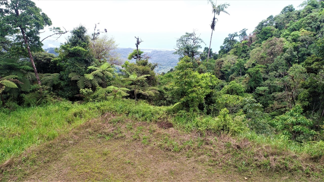 Large Development Farm, Ojochal, Puntarenas