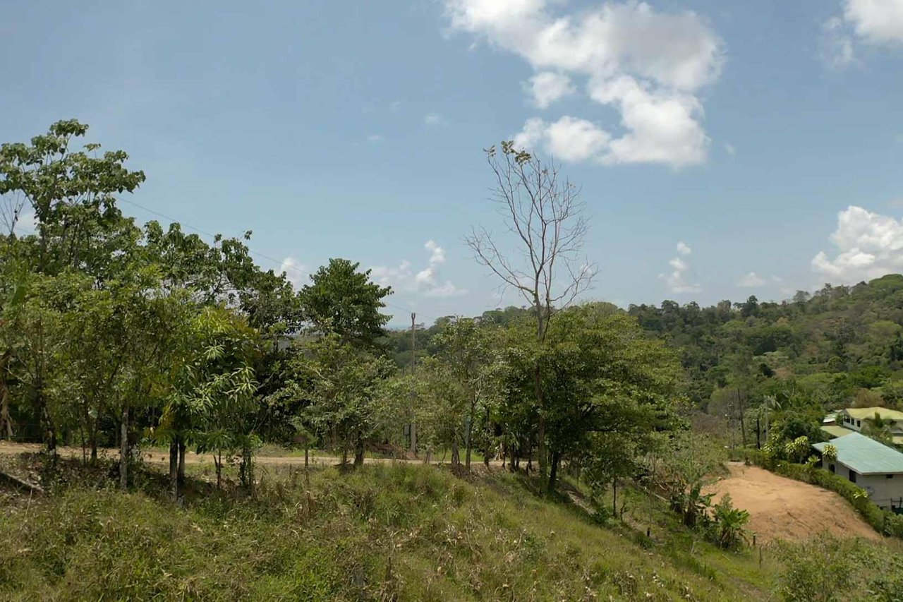 Lot Nestled In Charming Neighborhood With Stunning Mountain Views