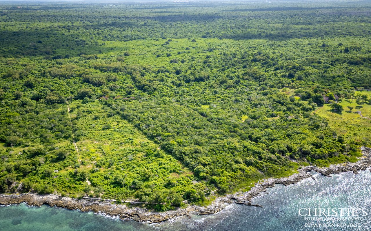 Boca Chavon 