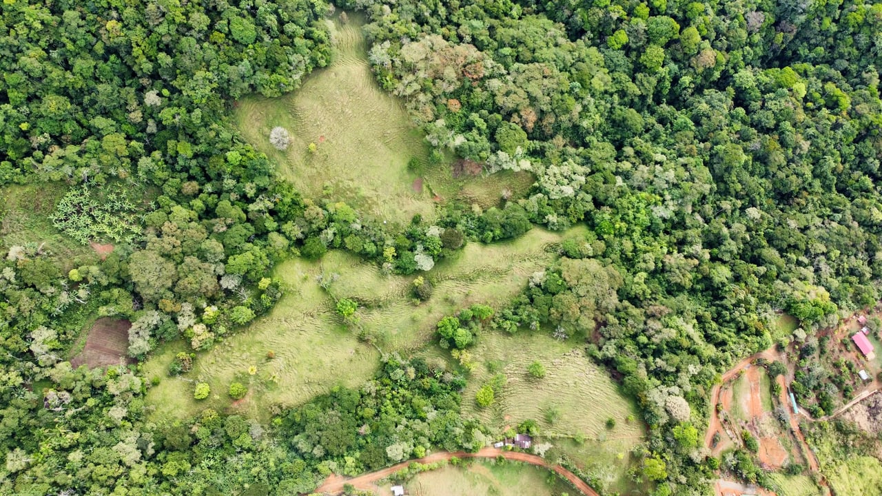 Hidden Gem: Serene Farm Retreat with Majestic Views in Costa Rica