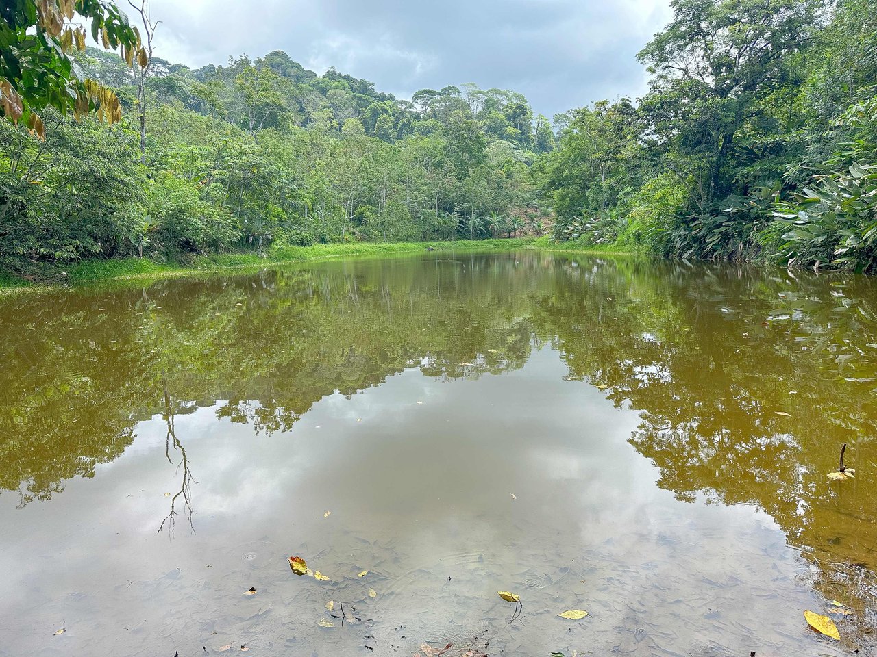 Breathtaking 210 Foot Waterfall on Over 200 Acres of Land in the Lush Hills & Mountains of Perez Zeledon – with SO MANY Additional Development Options!