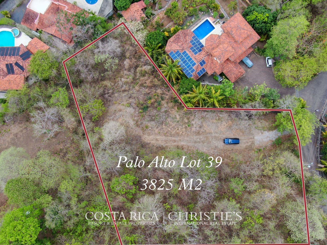 Palo Alto lot 39