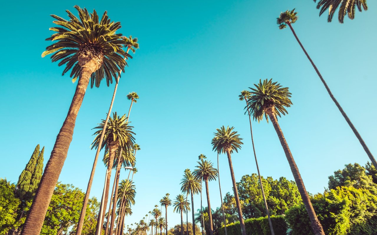 Explore Beverly Hills