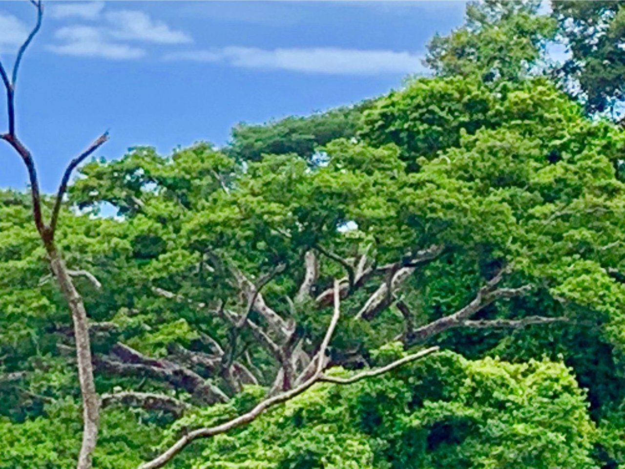 Triple Waterfall Ocean View Land, Dominical, Puntarenas