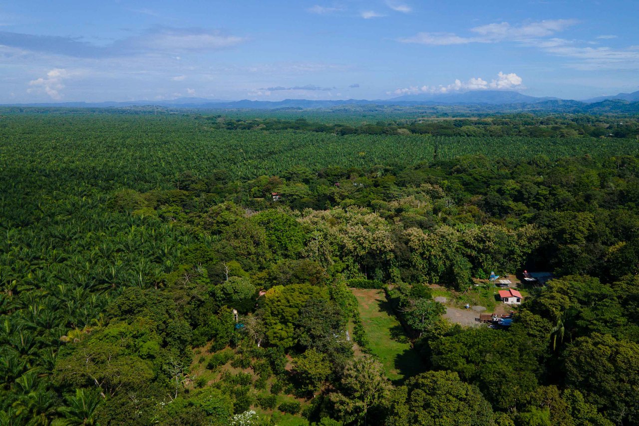 Tropical Paradise Farm in the Heart of Quepos