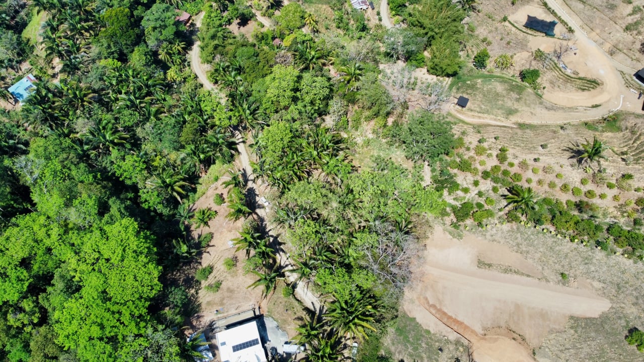 Tranquil Forest Development Land, Dominical, Puntarenas