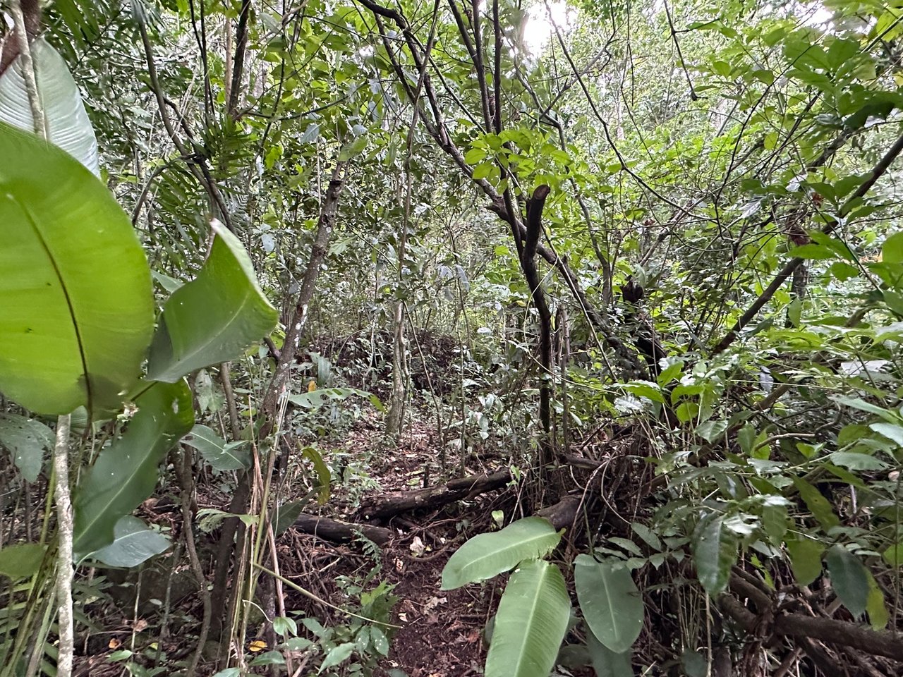Panoramic View Buildable Land, Escazu, San Jose