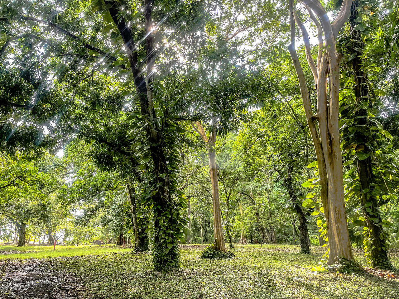 Prime Beachfront Development Land, Santa Teresa, Puntarenas