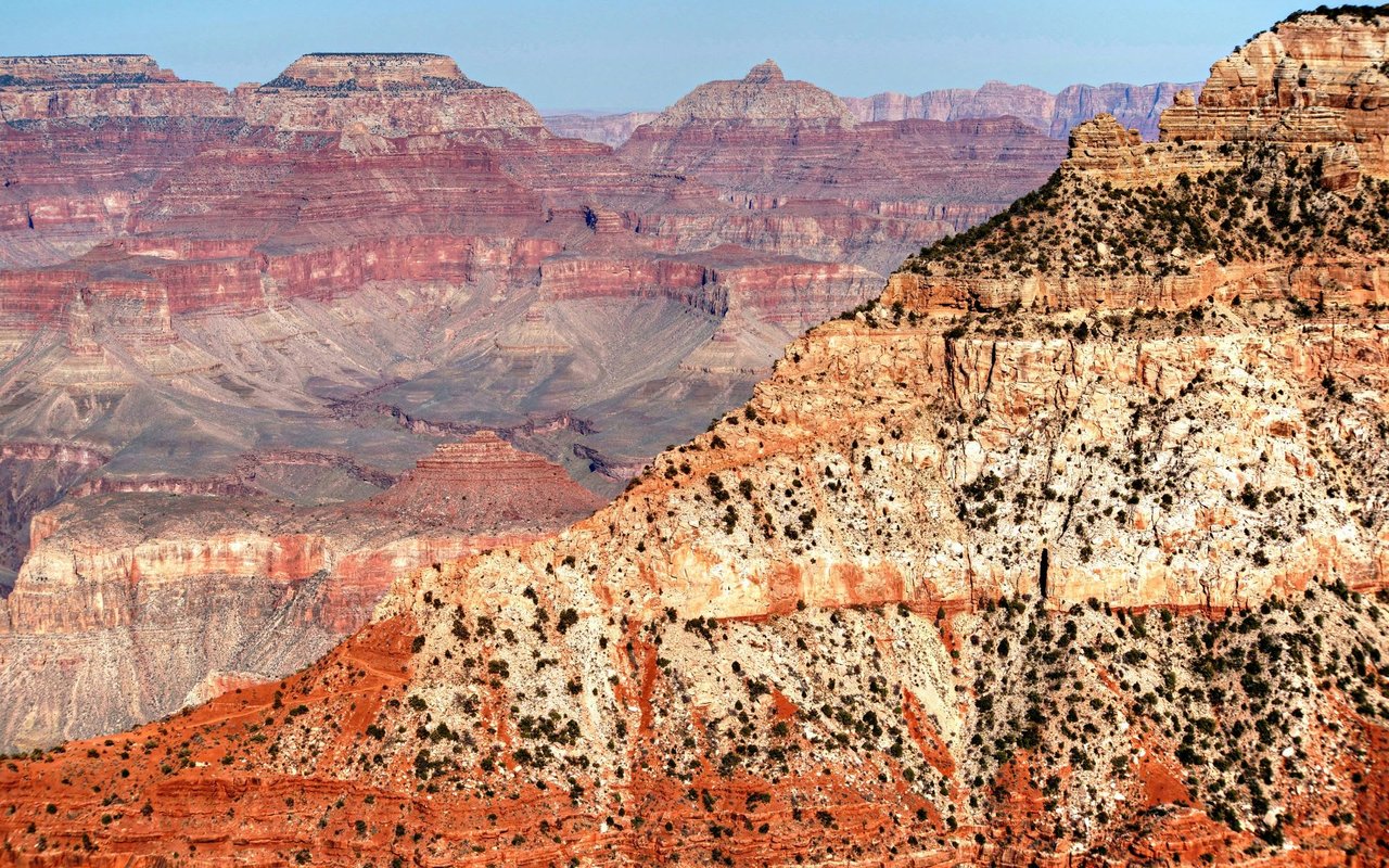 The Truth of Zillow’s Withdrawal from the Phoenix Market