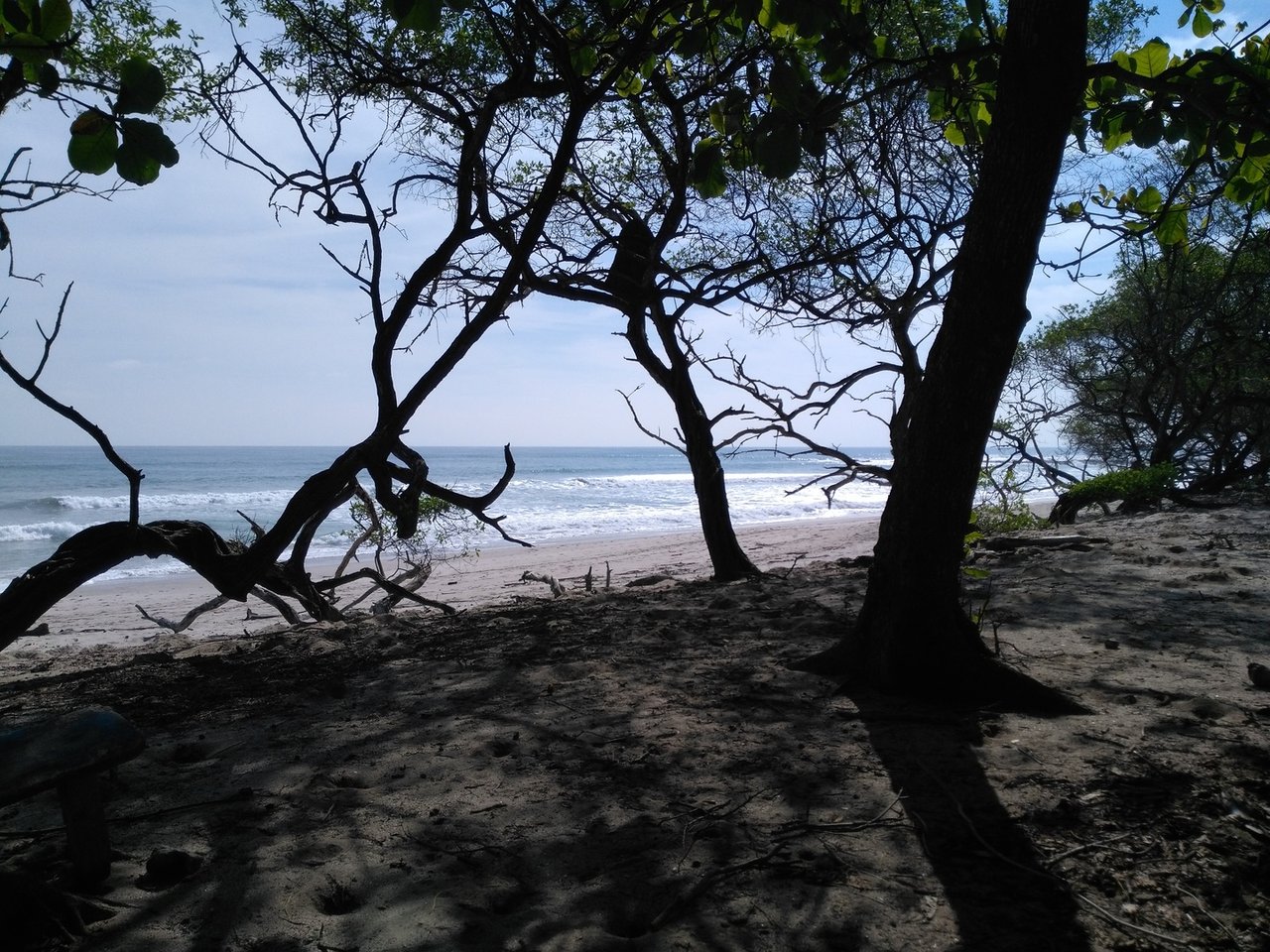 Private Secluded Beachfront Lot, Santa Teresa, Puntarenas