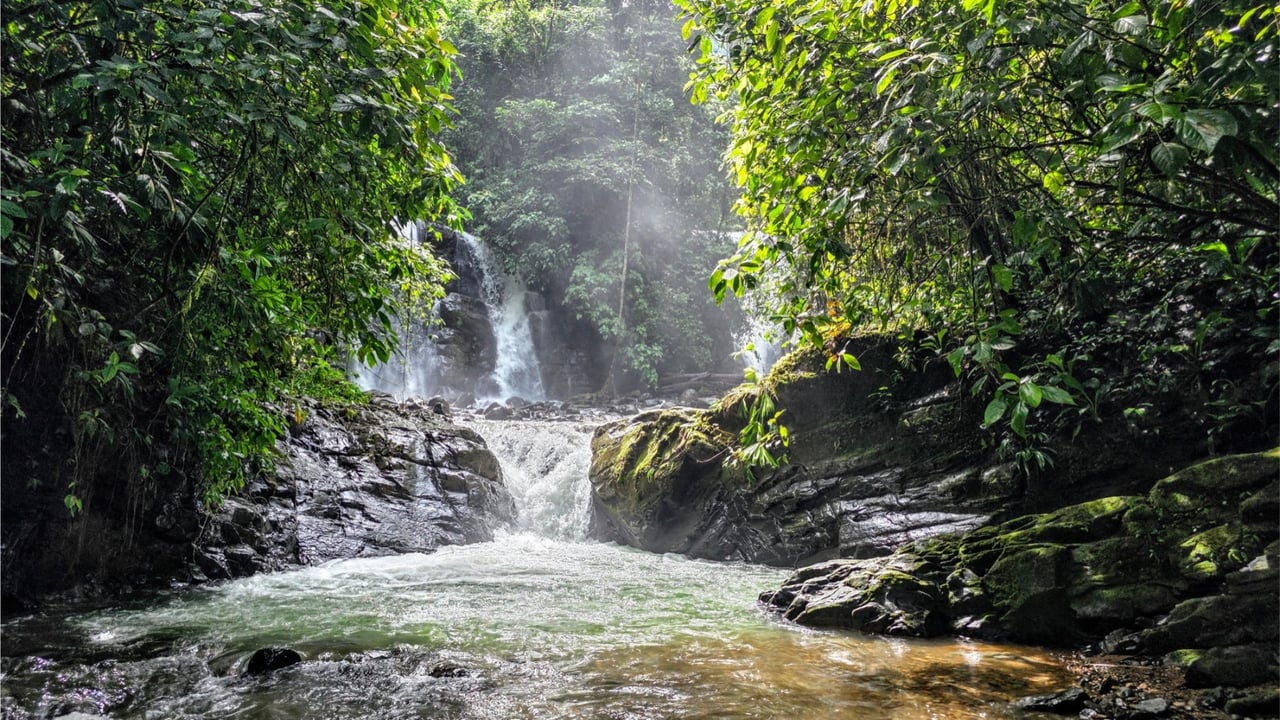 Rainforest Waterfall Acreage Estate, Dominical, Puntarenas