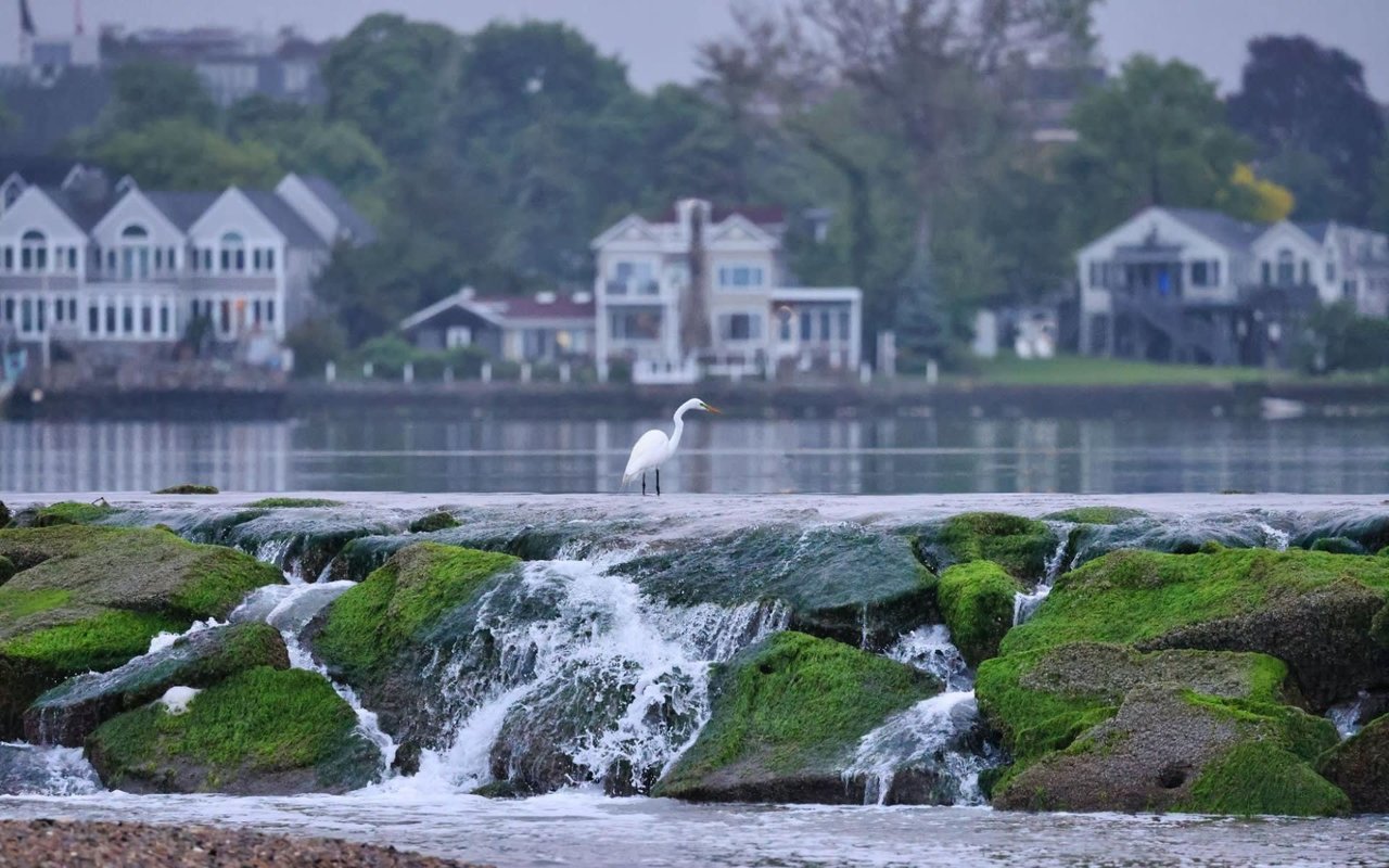 Matt Rose’s Complete Homebuying Guide for Fairfield County