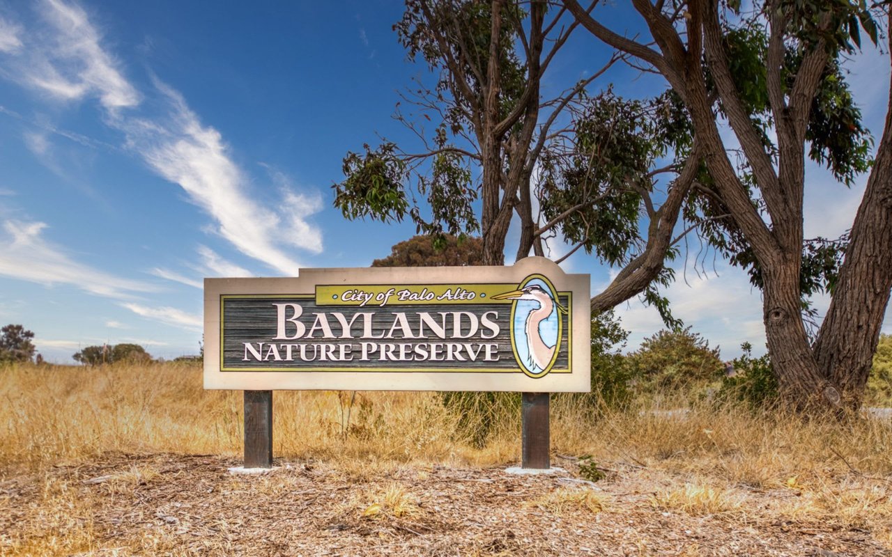 Baylands