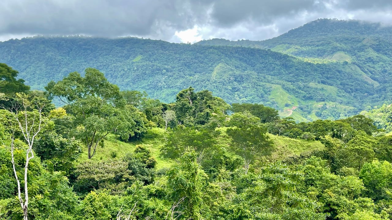 Over 123 Acres Farm in San Josecito De Morete, in Uvita Mountains