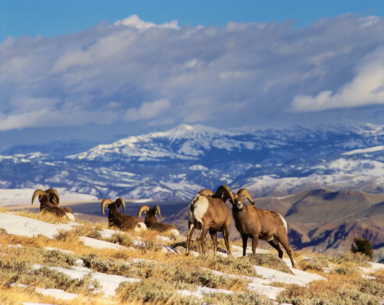 Dubois WY