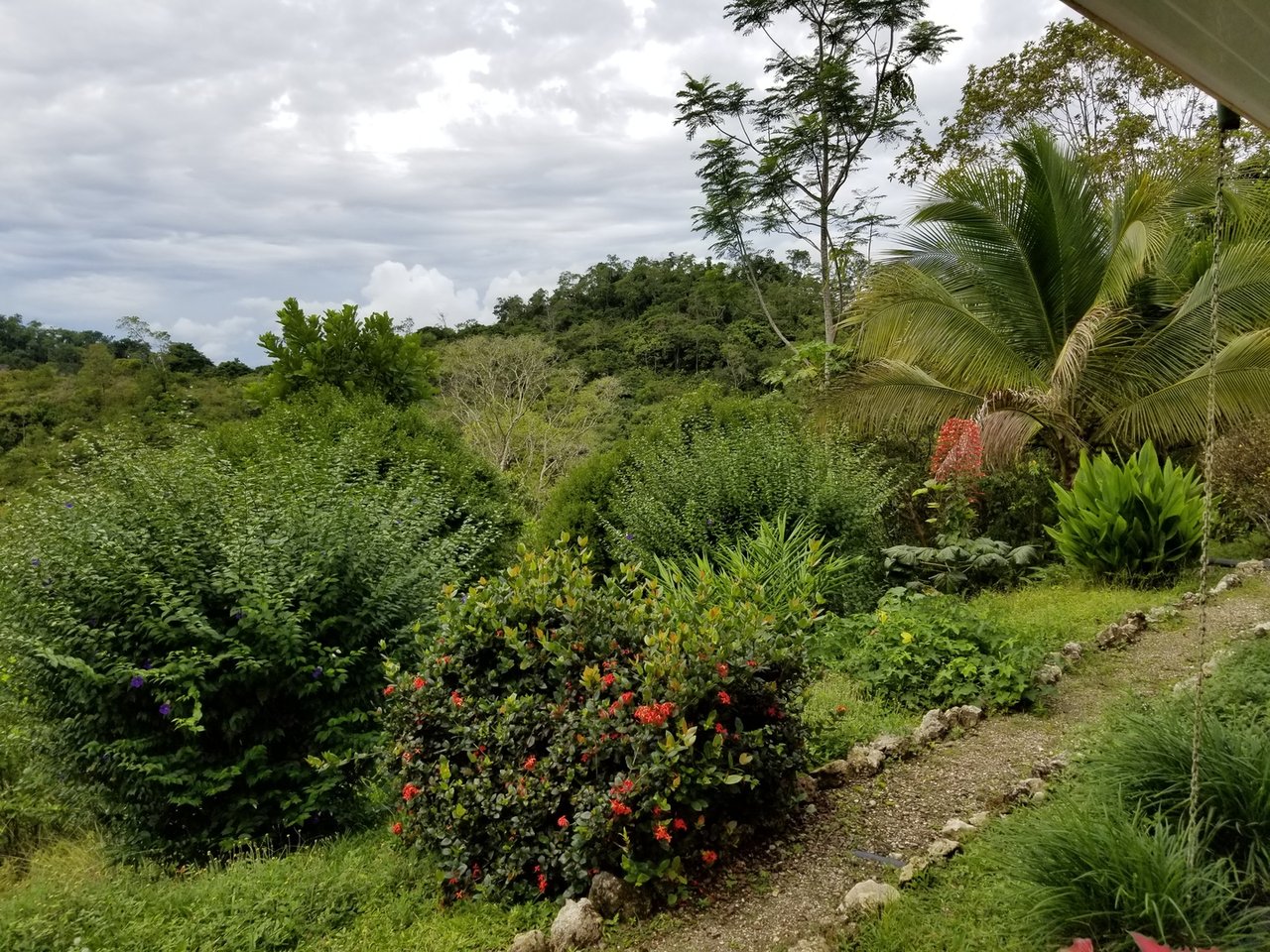 Sustainable Organic Farm, Osa, Puntarenas