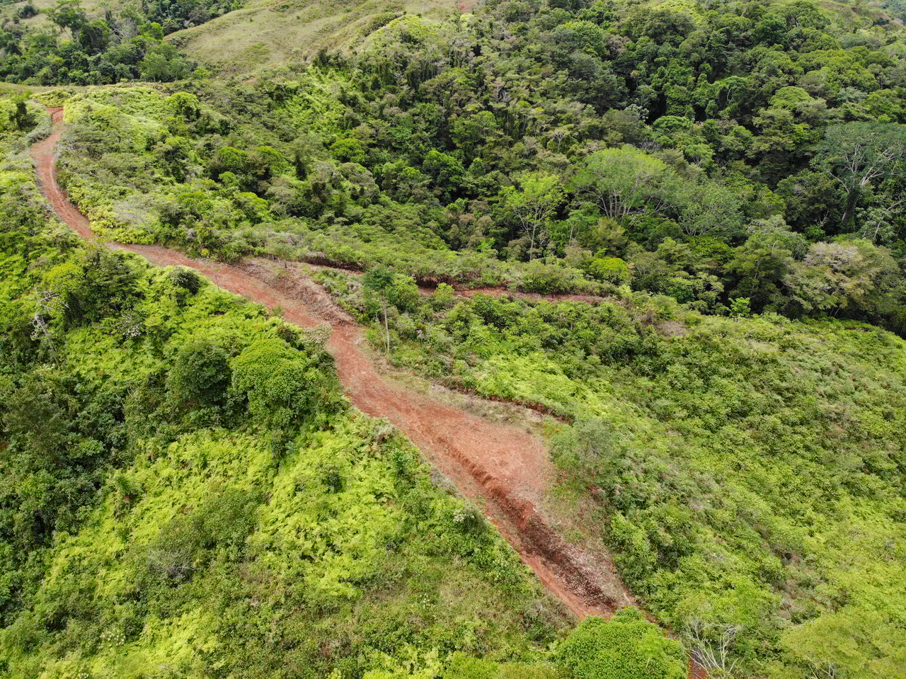 Sierpe Sunset and Jungle Views, 10 Acre Property, OSA!