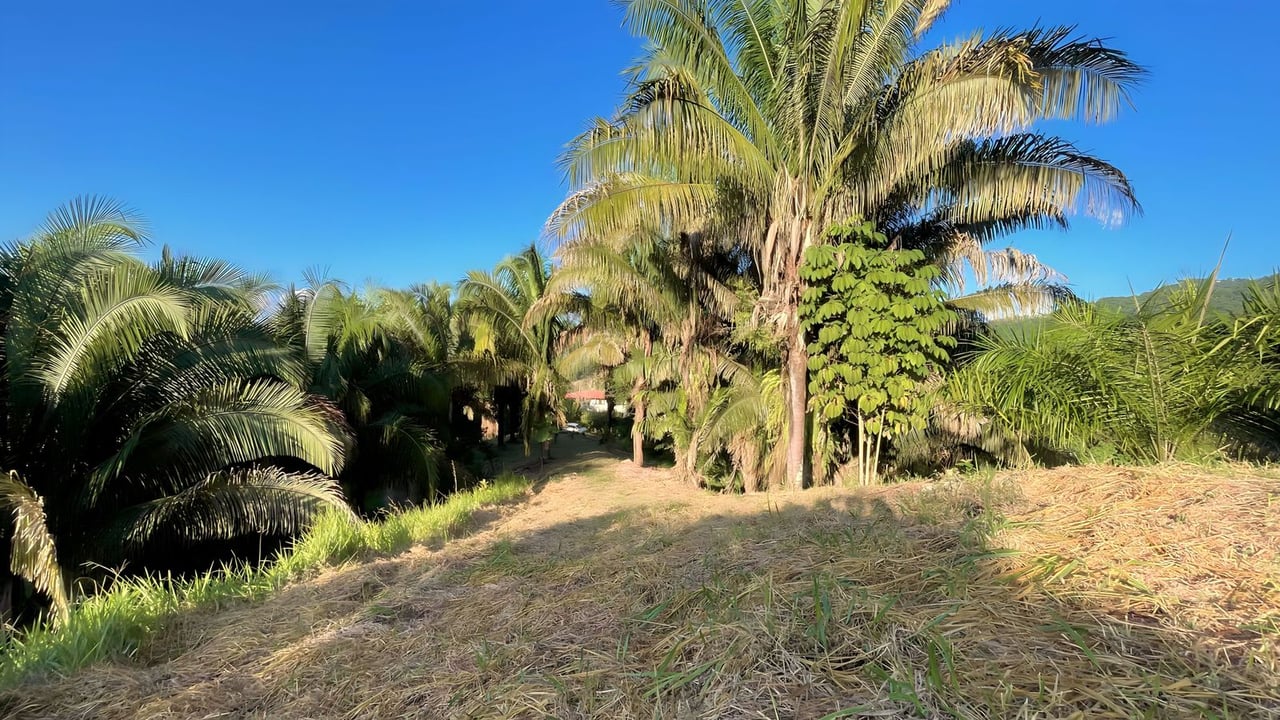  Exclusive Hermosa 1.2 Acre Lot with Panoramic Mountains and Ocean View. 