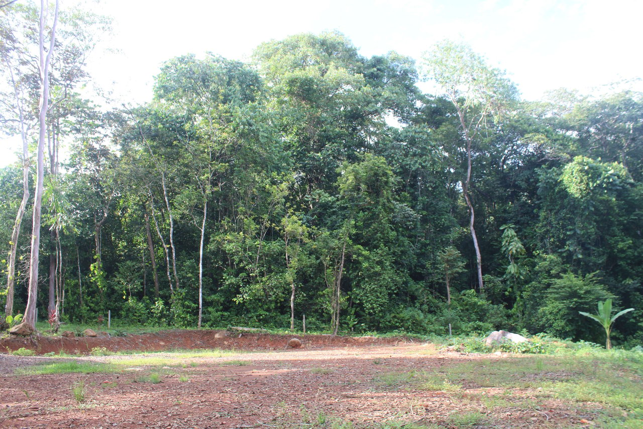 River Frontage Lot close to Uvita