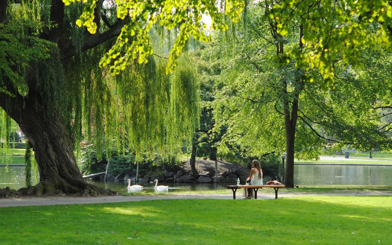 Your Comprehensive Guide to Picking the Perfect Neighborhood