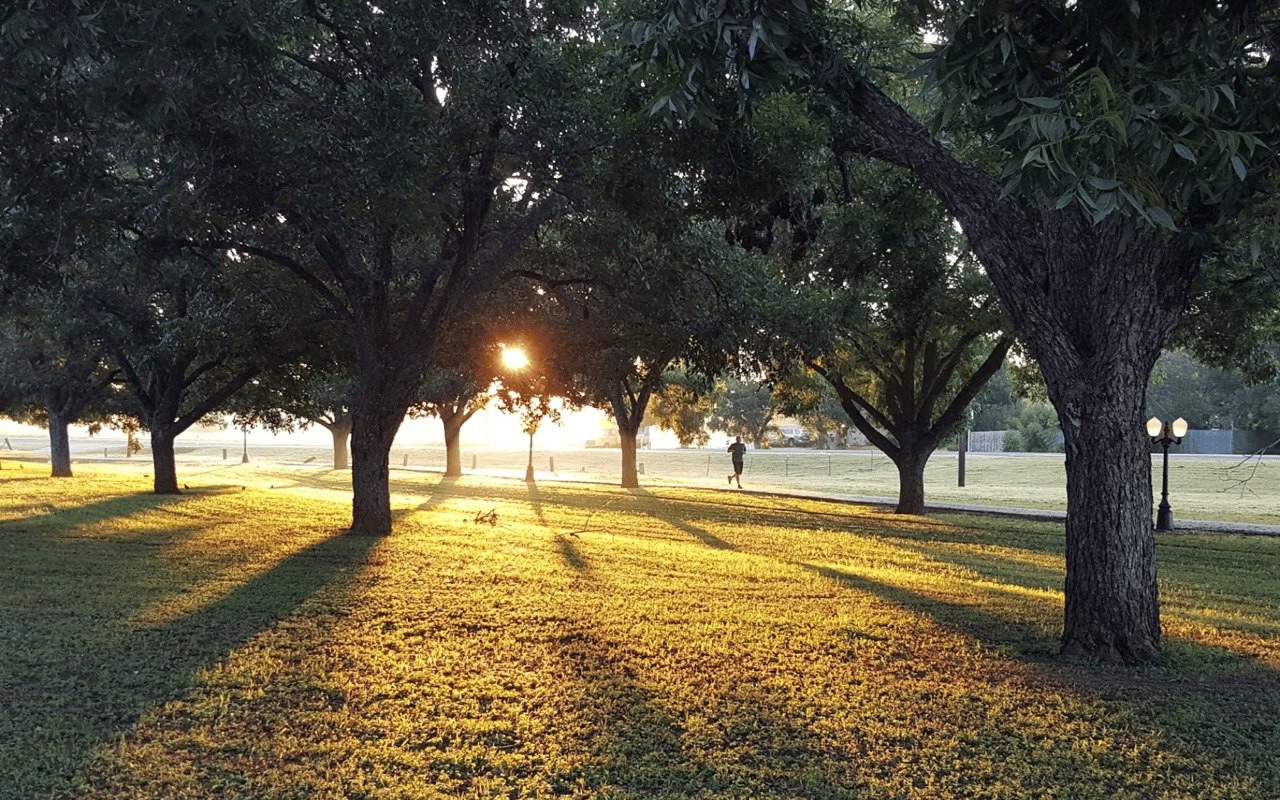 A Guide to Los Angeles, CA, Parks