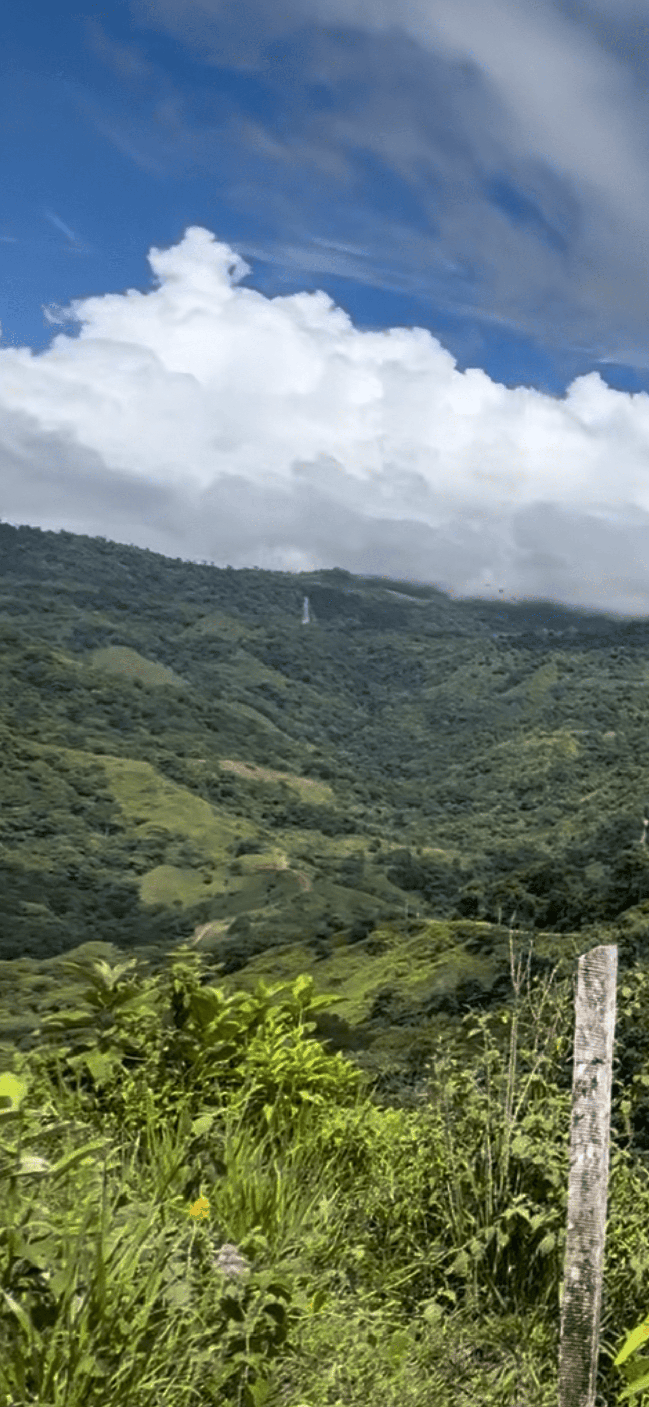 San Josecito Farm Above Uvita, 4 Acres, Creek and Usable Land