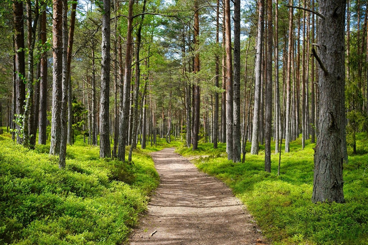 8 Hiking Trails With the Best Views Near Moraga & Lafayette