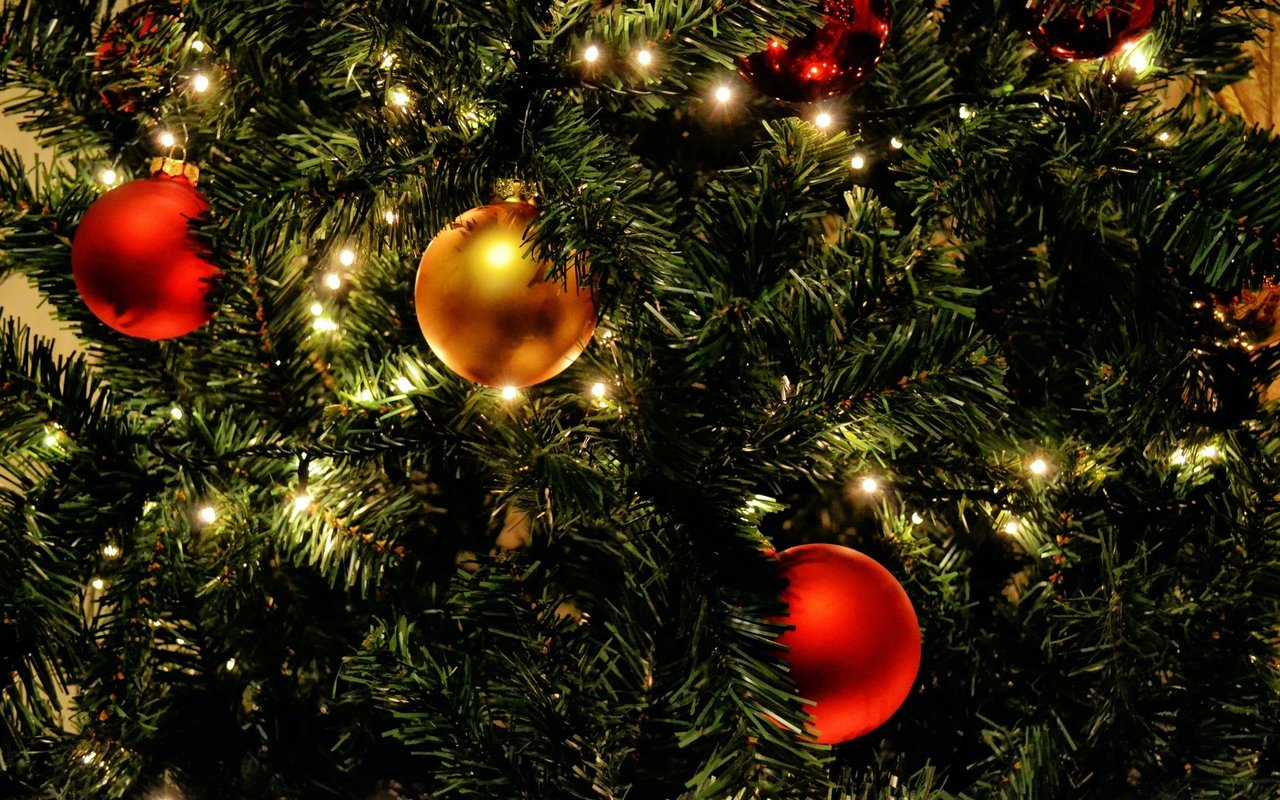 Where To Get The Perfect Tree In Austin