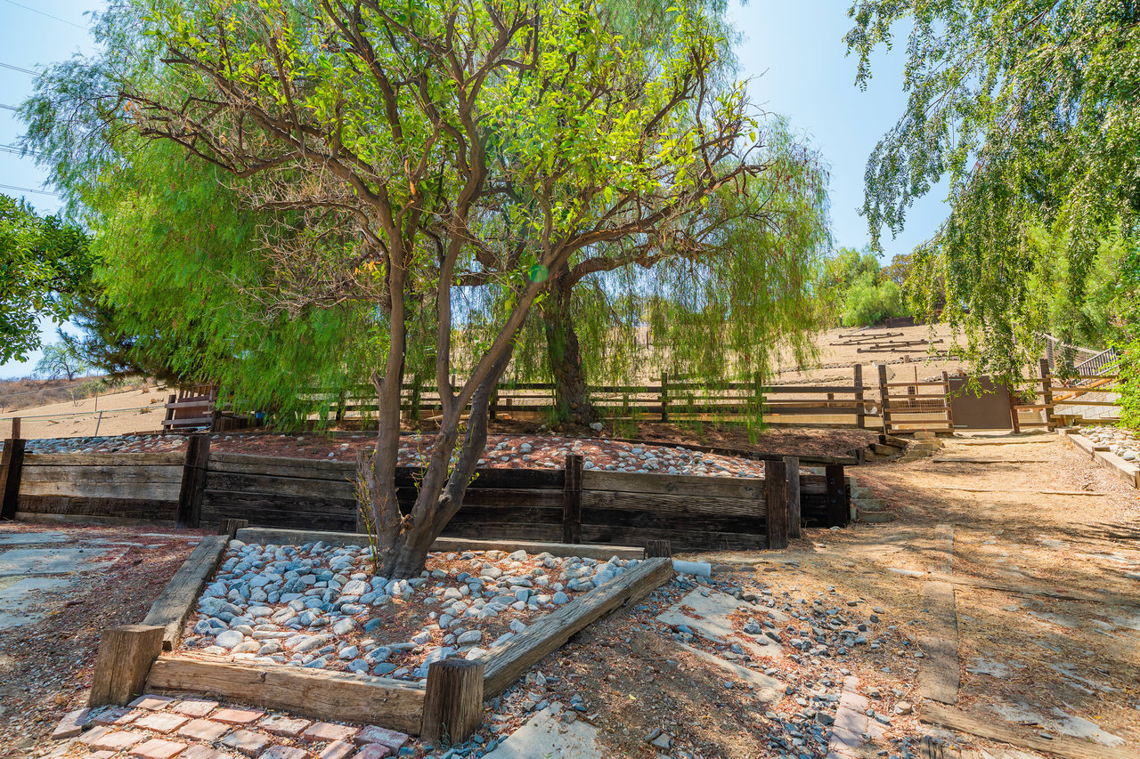 A Lil Bit O' Country in Shadow Hills * SOLD at full price
