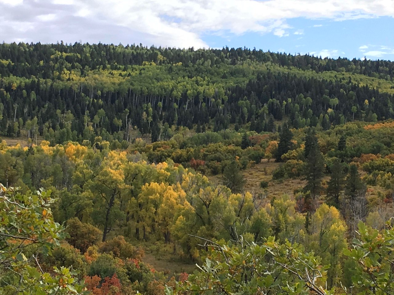 Southern Colorado Riverfront Mountain Ranch