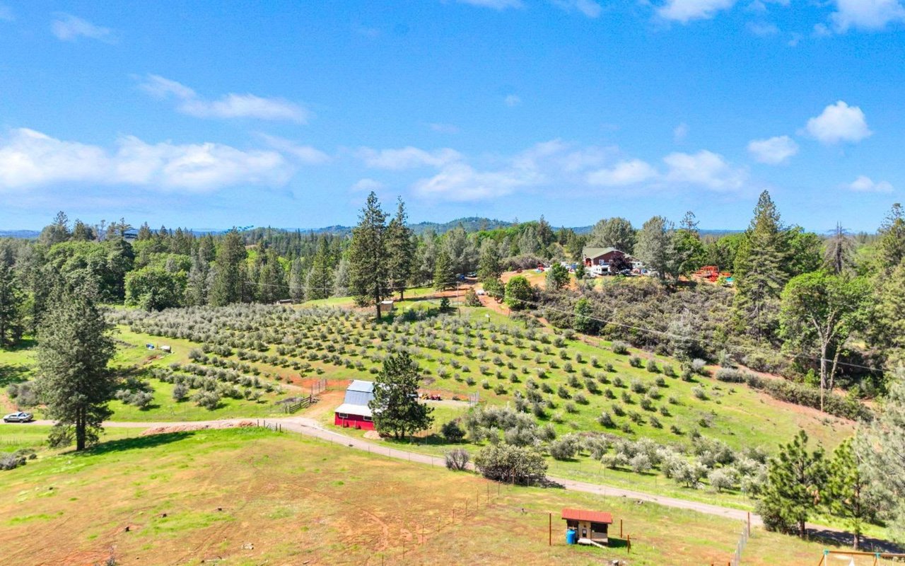 Placer County Real Estate Market Forecast 2023