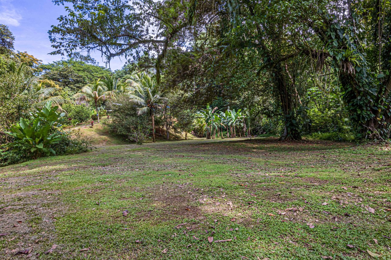 Tropical Hideaway – 7 Acres of Secluded Riverfront with a 3-Bedroom Home