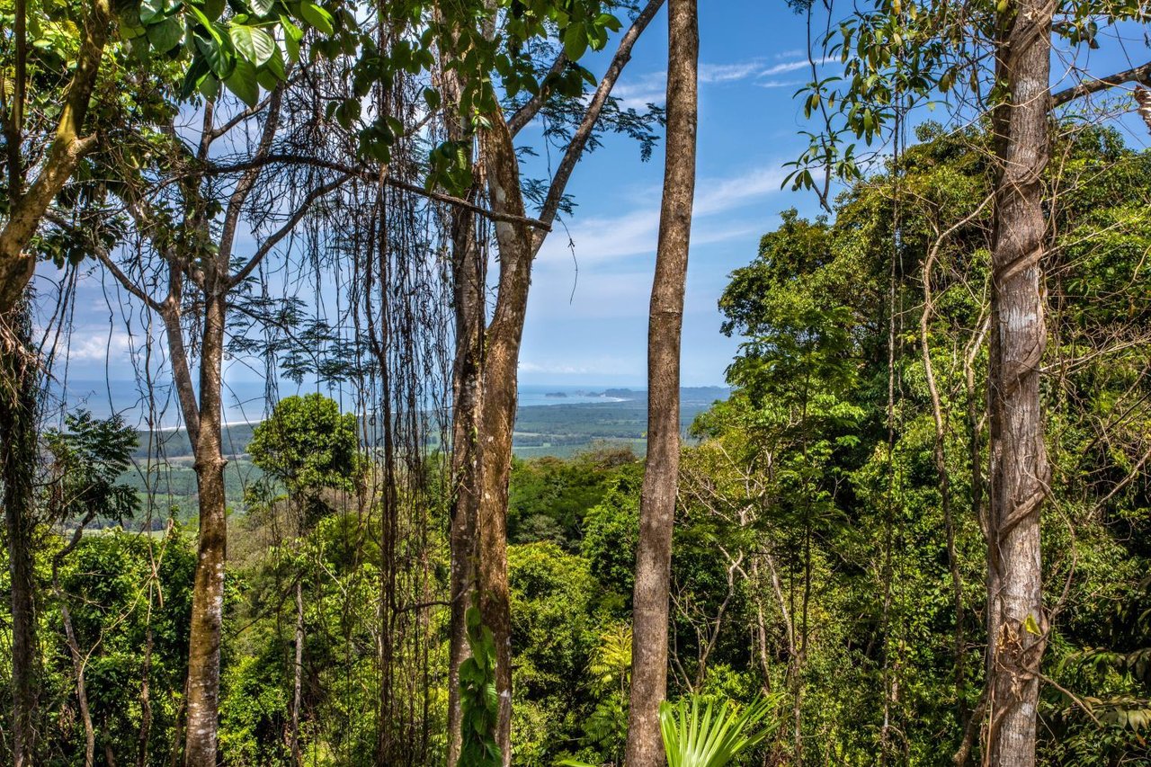 Incredible 7,000 Ft2 Ocean View Home With 200 Acre Reserve!