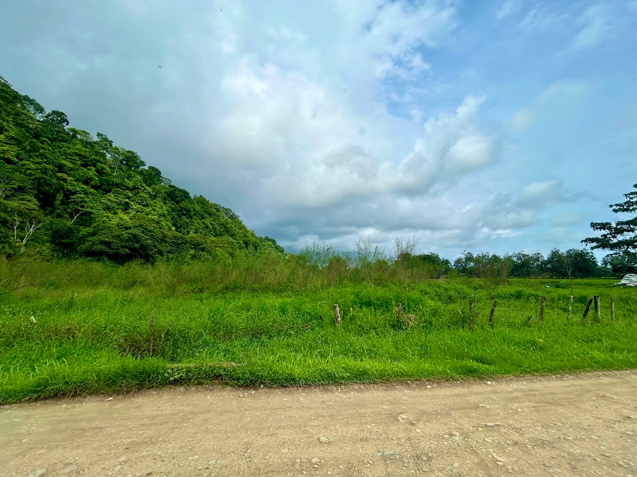 Over 12 Acres Of Land Near Ojochal, Public Road Frontage