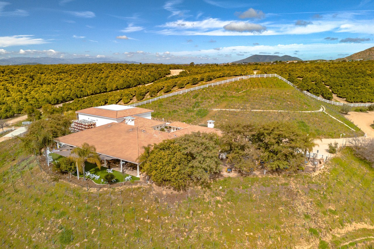 Class IV Winery 
