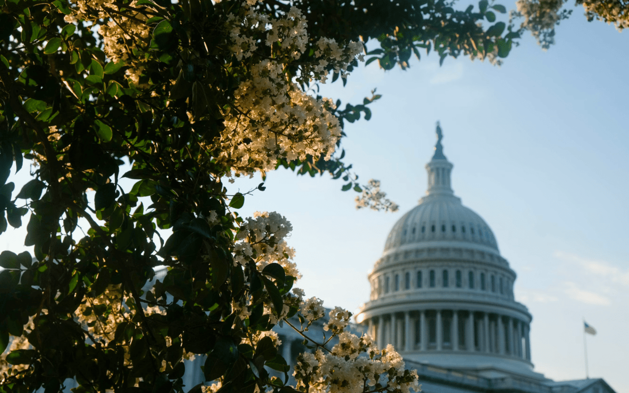 Buying a Home in Capitol Hill