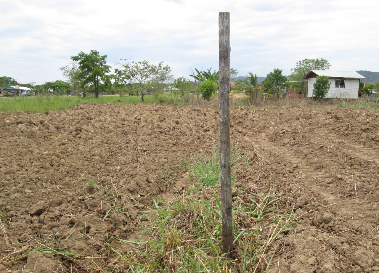  Rural charm - a vacant residential lot in rural community dubbed to be one of the world’s best places to retire