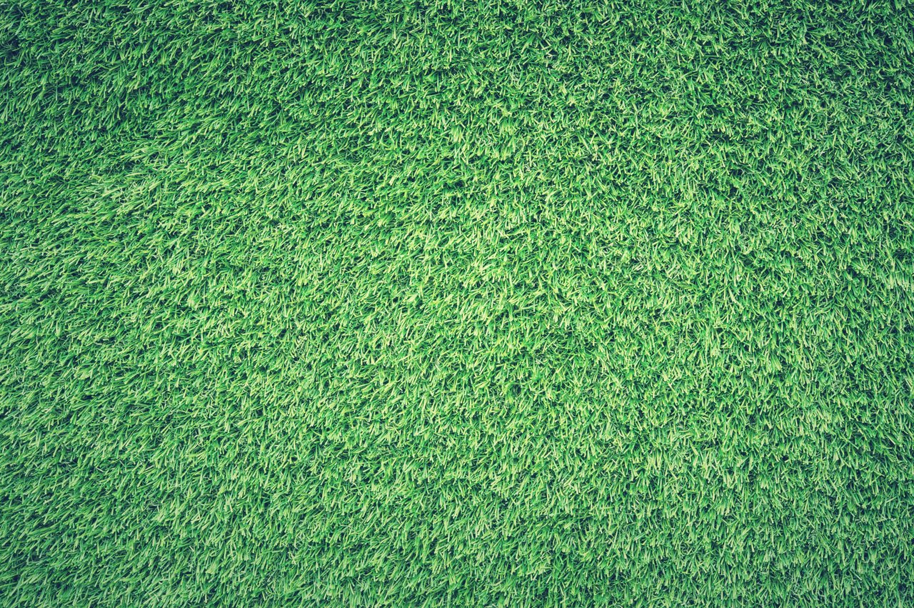 Astro Turf Chic