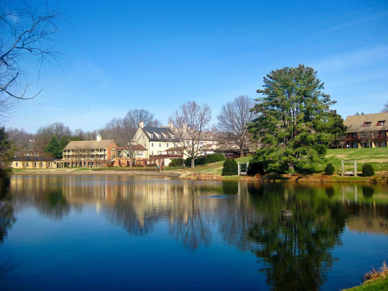 12 Cute Things To Do in Charlottesville
