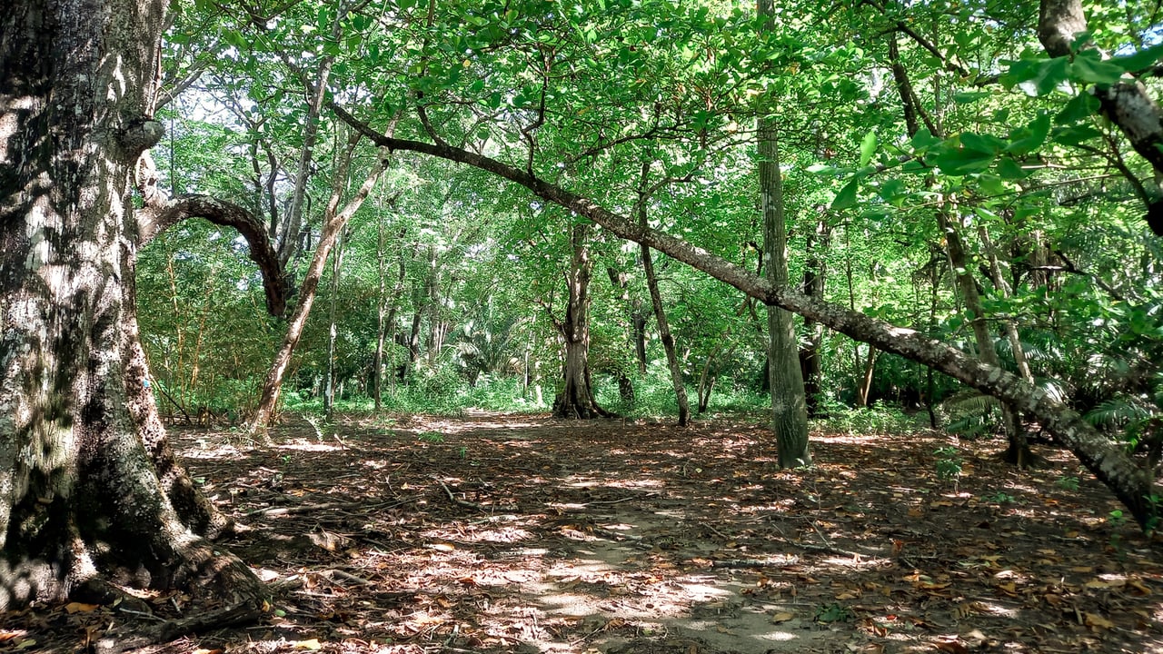 Beachfront Development Acreage, Santa Teresa, Puntarenas