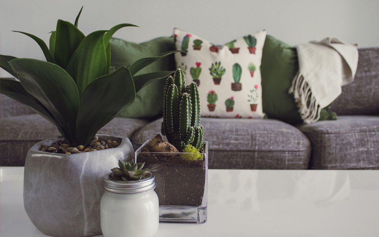 Thinking of Investing in Vacation Rentals?