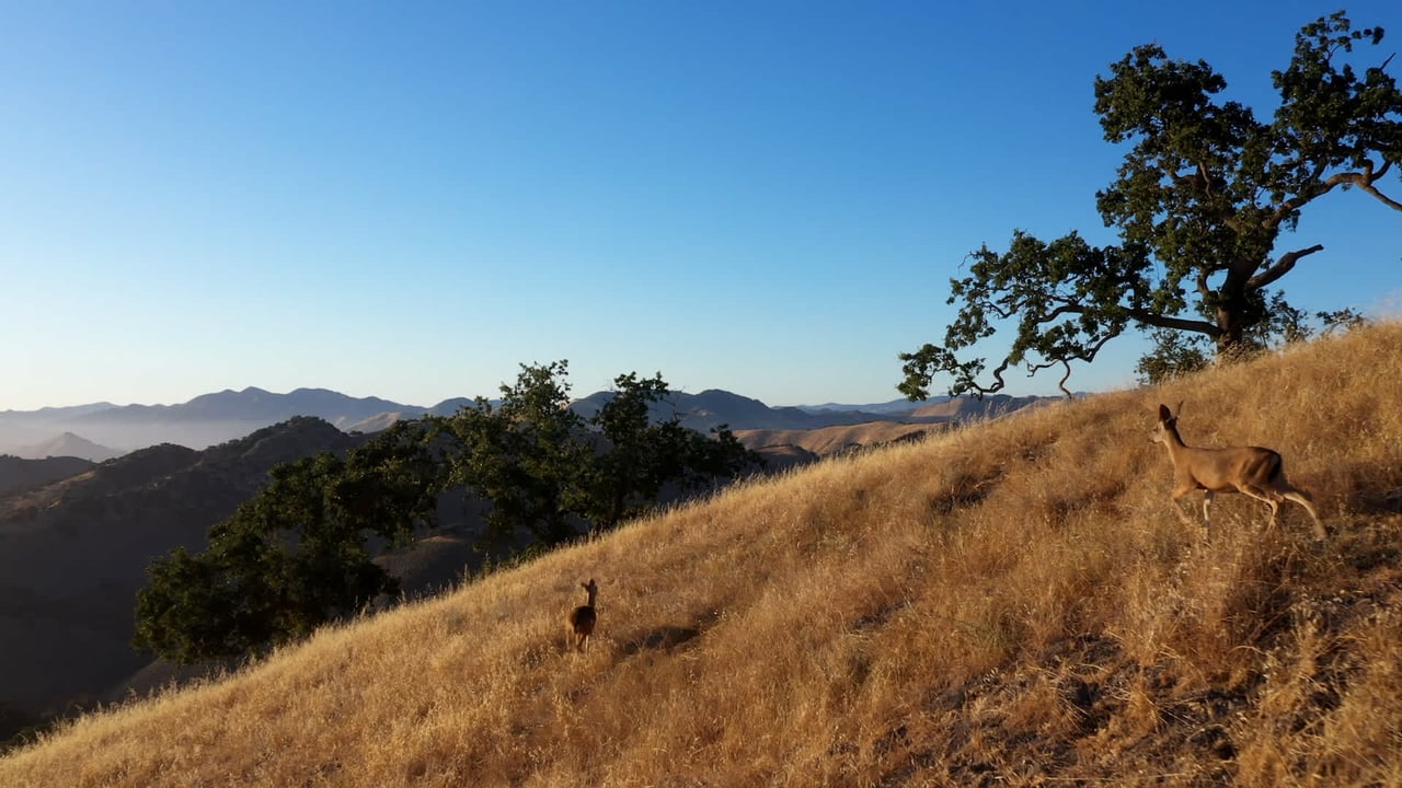 Rancho La Laguna