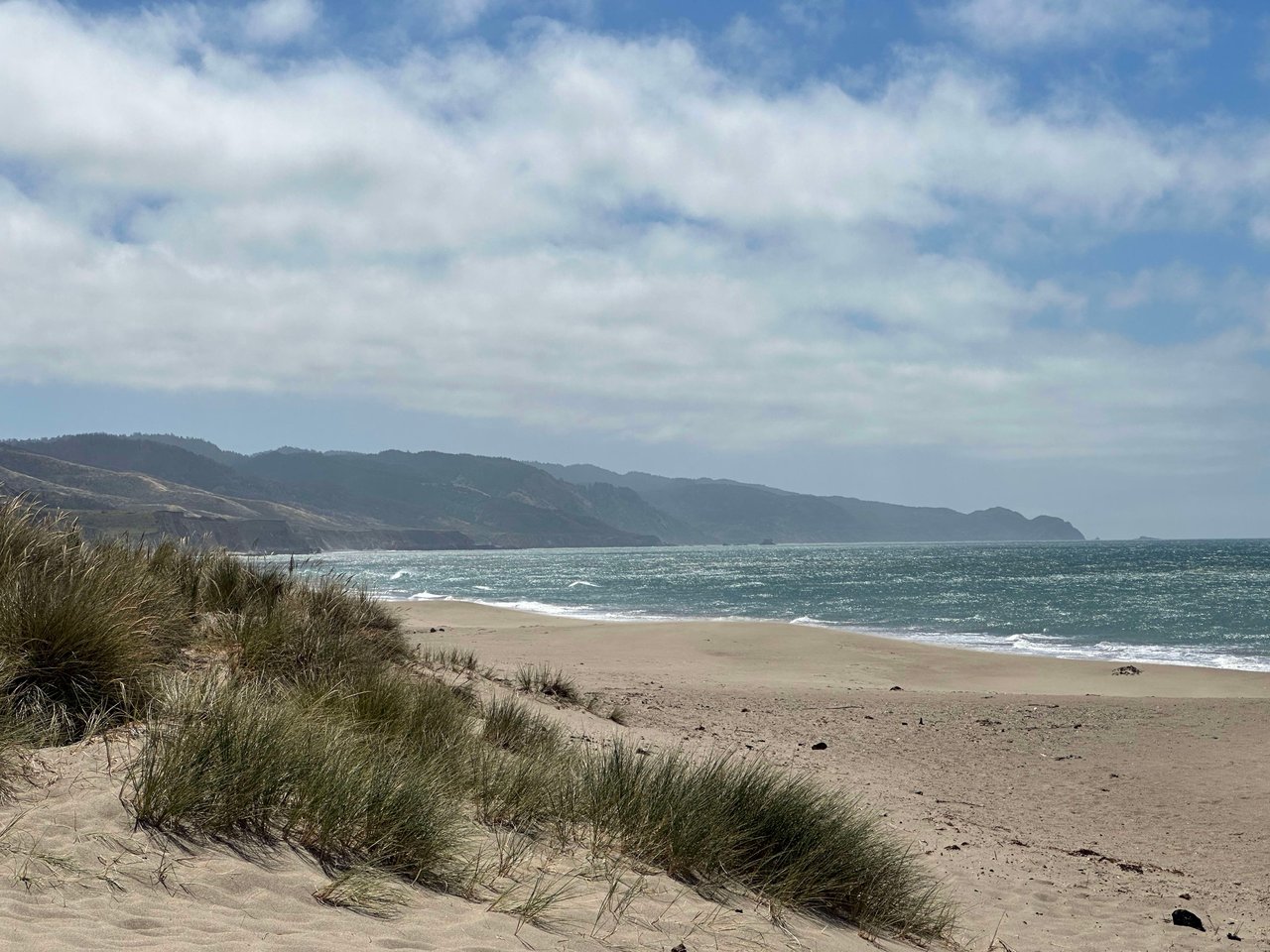 Family Fun in Marin: 5 Must-Try Summer Activities