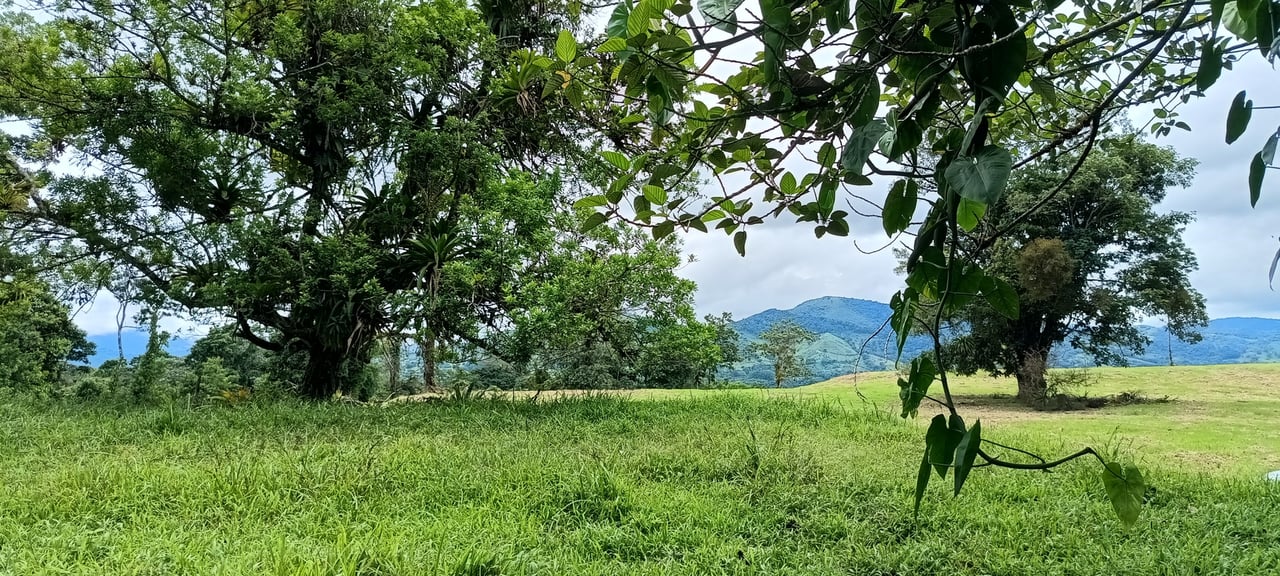 Flat Lakeview Development Land, Lake Arenal, Alajuela